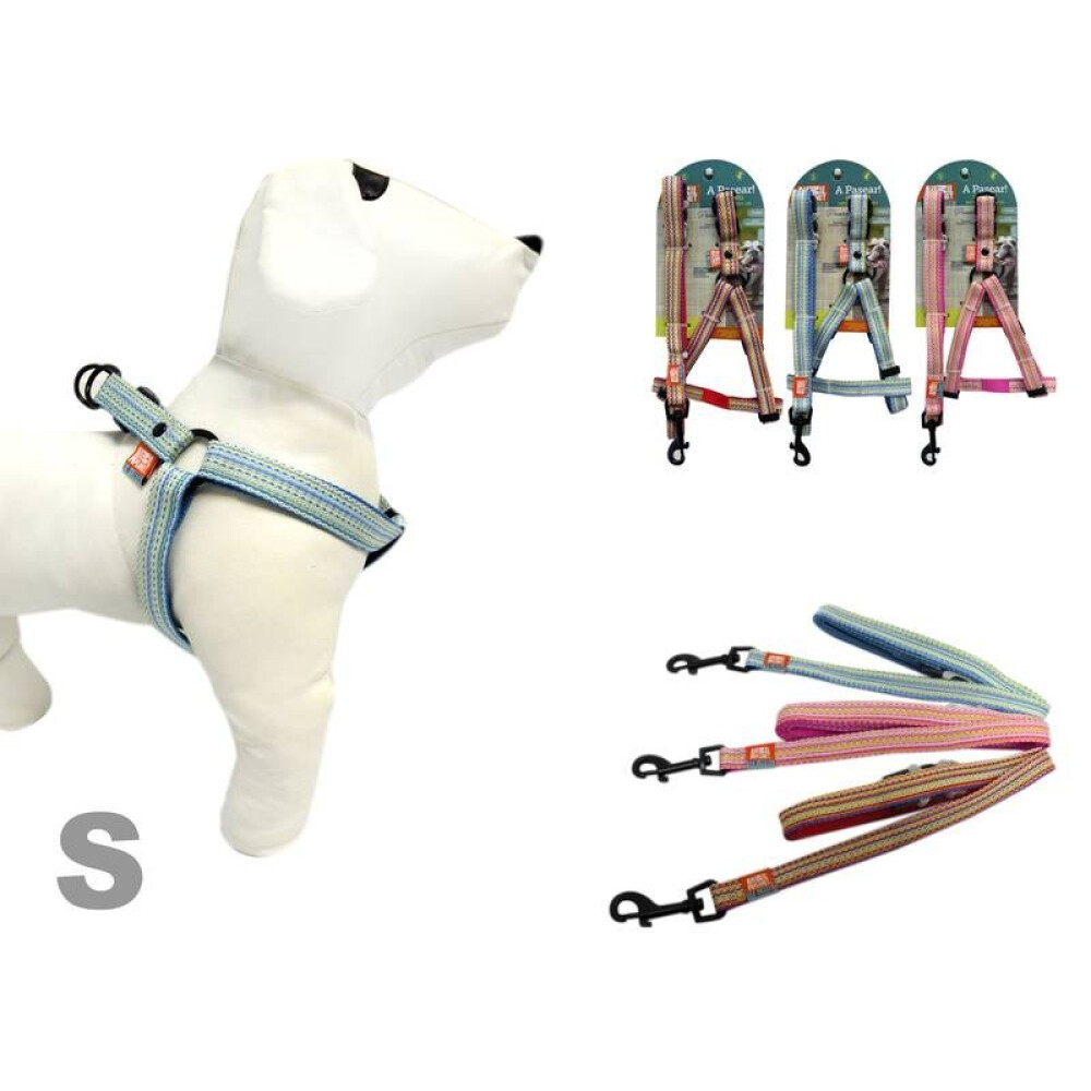 COLLAR + CORREA PARA MASCOTAS TAMAÑO S DISEÑO 2 COLLAR + CORREA PARA MASCOTAS TAMAÑO S DISEÑO 2