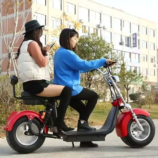 Moto Electrica Gogreen Bolt 2000W 20Ah 40km Autonomia 55km/h Variante Color Rosa