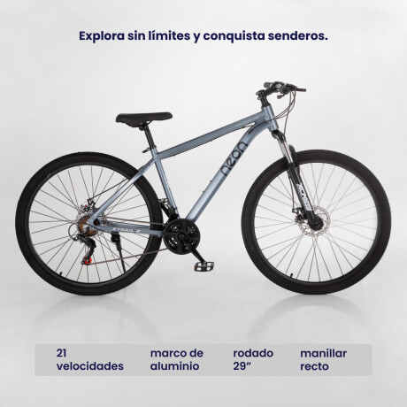 Bicicleta Montaña Bike Ruta R29 Freno Disco Acero Gris