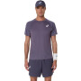 Polo Tenis Match Actibreeze SS Top Hombre Greyish Purple