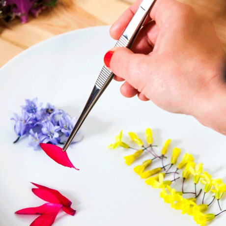 Pinza de Precision 17 cm Pinza de Precision 17 cm