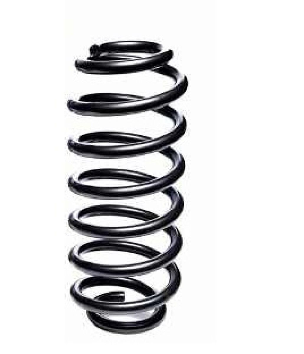 ESPIRAL TRASERO BORA 