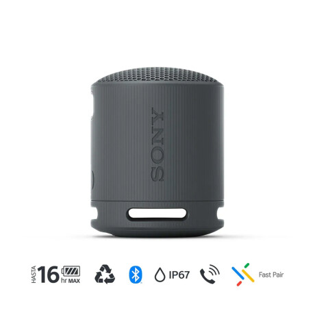 Parlante Inalámbrico Portatil Sony SRS-XB100 Negro