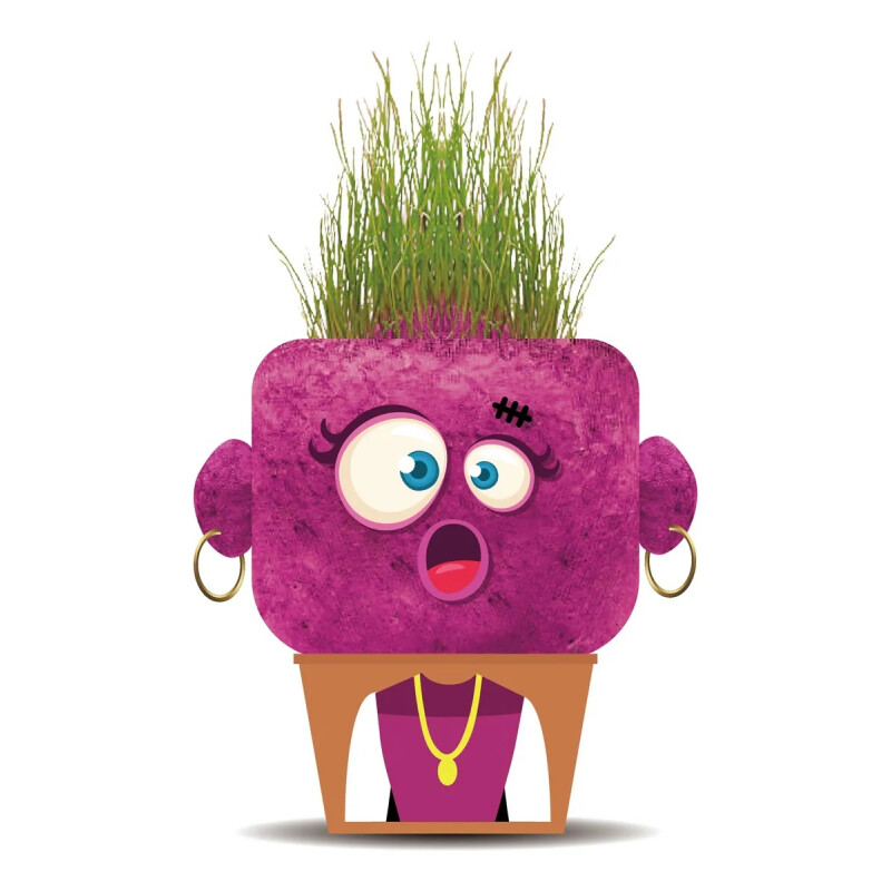 Juego Plant Pals - Hape Juego Plant Pals - Hape