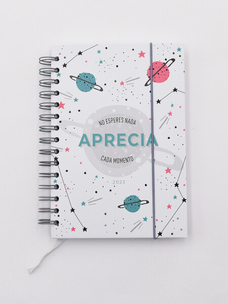 AGENDA APRECIA MULTICOLOR