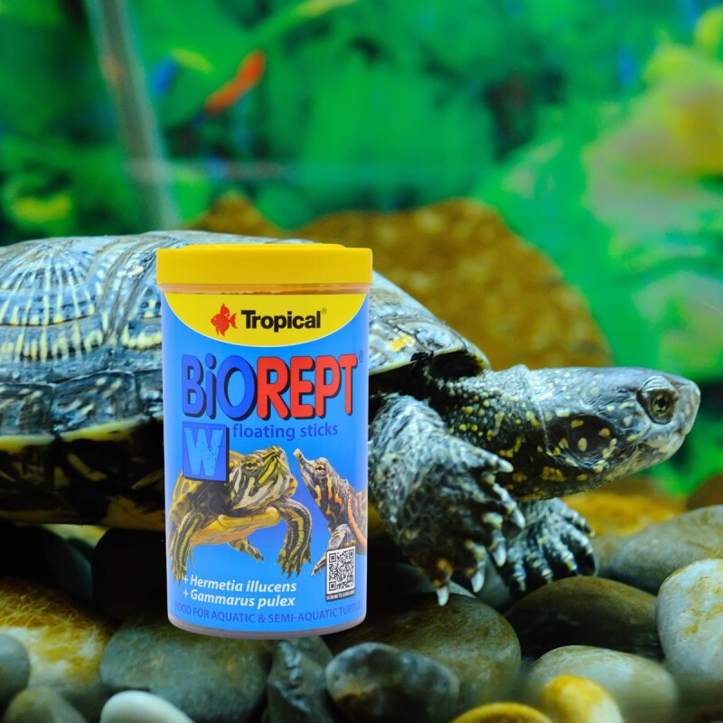 ALIMENTO PARA TORTUGAS ACUÁTICAS Y SEMIACUÁTICAS BIOREPT 30GR ALIMENTO PARA TORTUGAS ACUÁTICAS Y SEMIACUÁTICAS BIOREPT 30GR