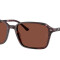 Rayban 2231 Havana Violeta