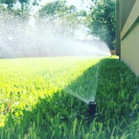 Aspersor PSU 5cm - corto Boquilla Gris