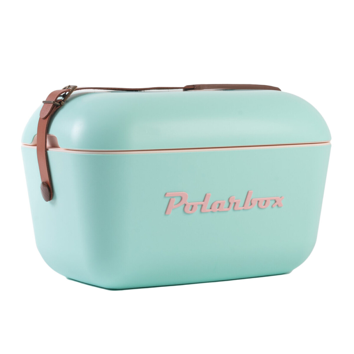 Conservadora Térmica Retro 20L Polarbox Playa Camping Viajes - Verde Agua/rosa 