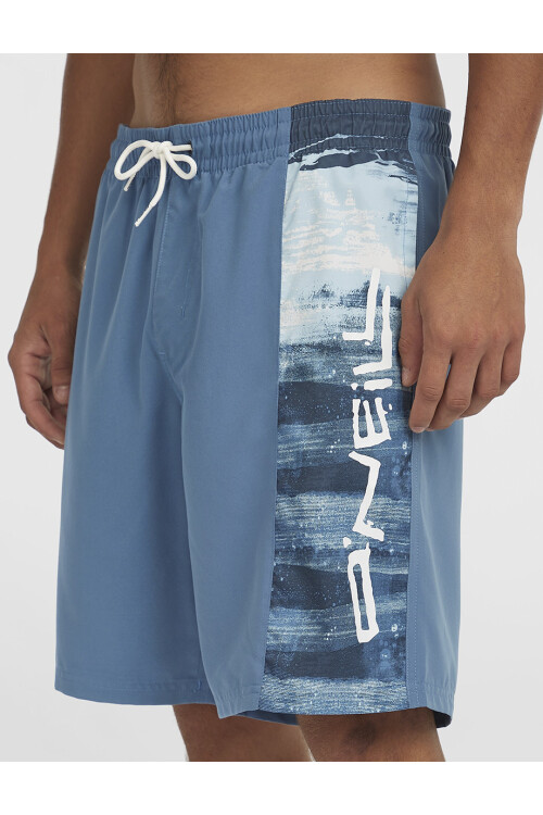 Short O'Neill Retro Print Azul Short O'Neill Retro Print Azul