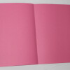 CARPETA PAPIRO PARA FICHERO 20 ROSADO