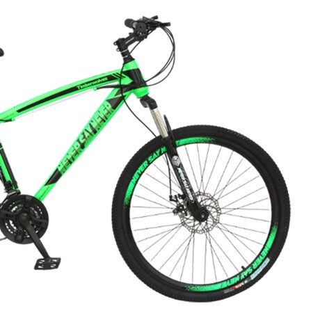 Bicicleta de Montaña Rodado 29 con 21 Cambios para Hombre Verde