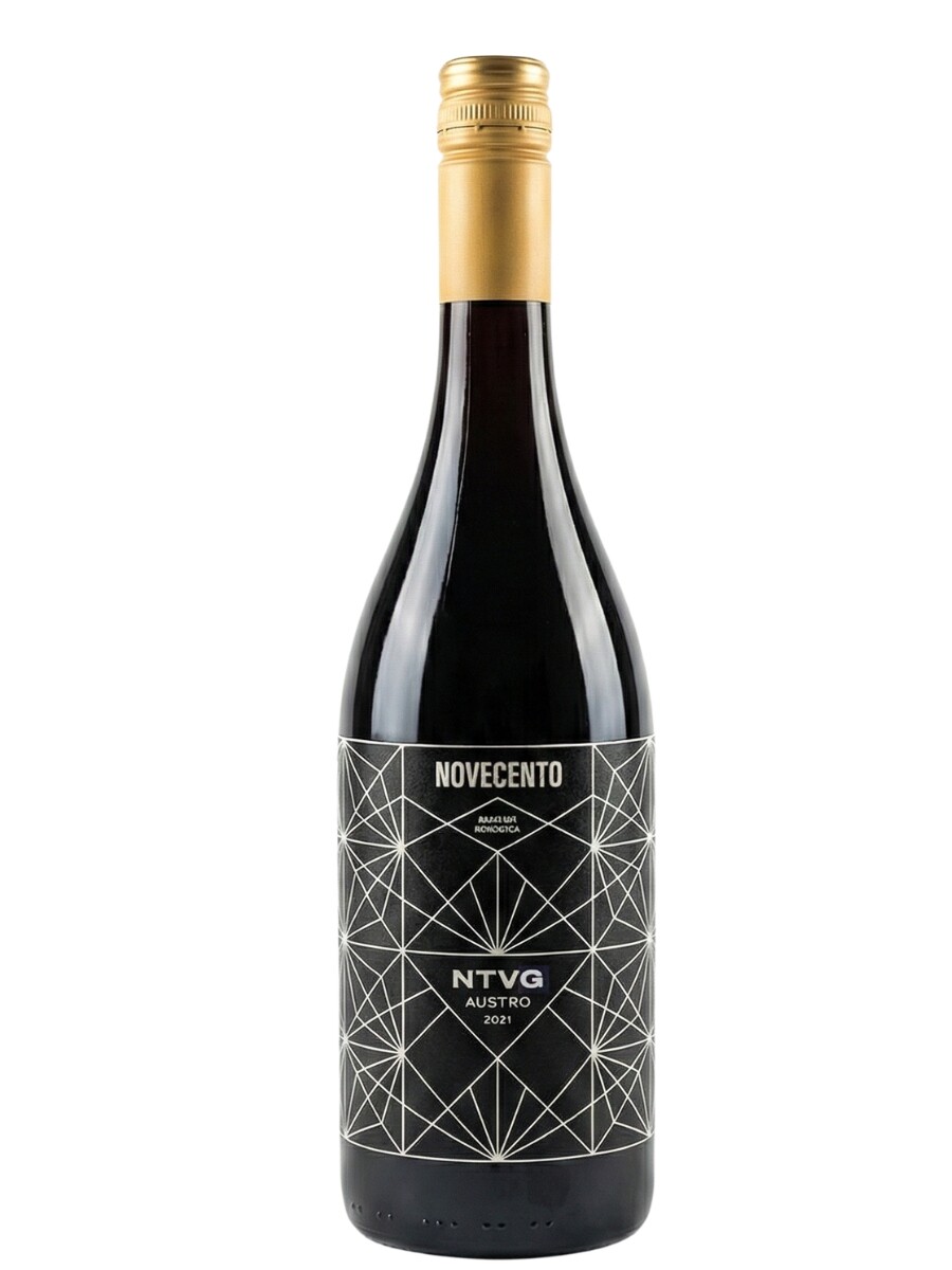 Novecento Austro NTVG 