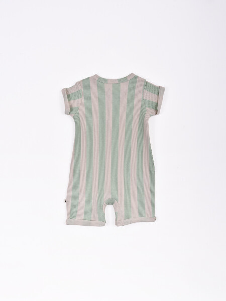 ENTERITO DAELIN VERDE CLARO