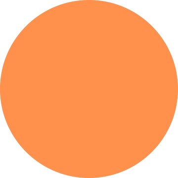 10300 Receta Naranja