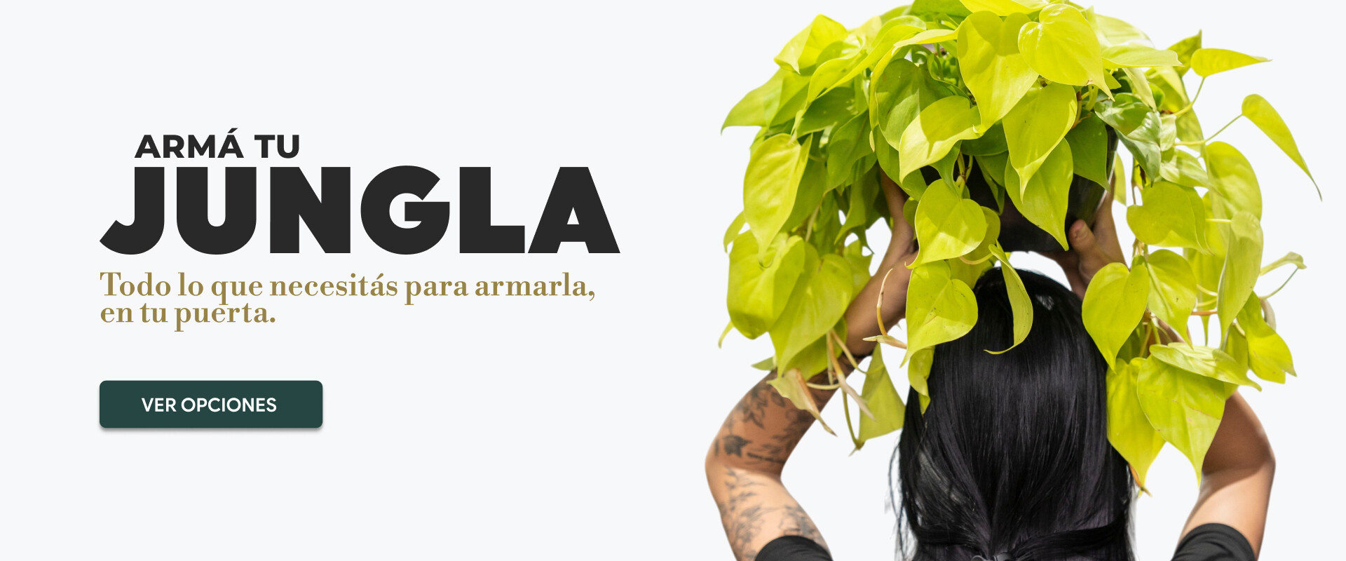 Plantas y macetas