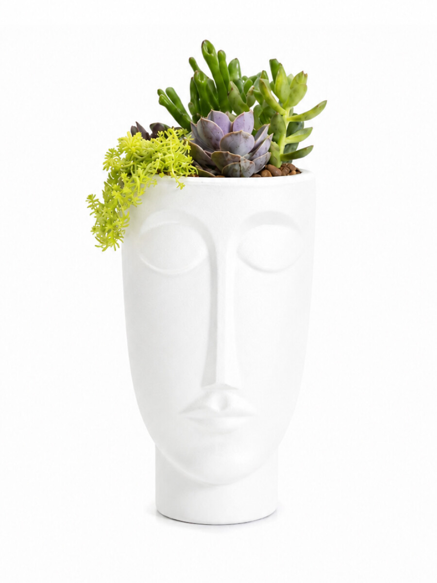 MACETA FACE HOMBRE CON SUCULENTAS BLANCO