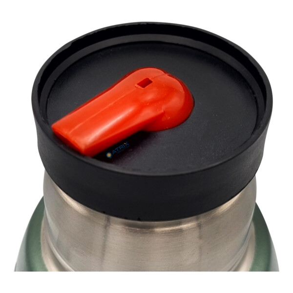 Set Termo 1L Goldtech Mate Con Tapa 230 ML Acero Inoxidable Variante Color Fucsia