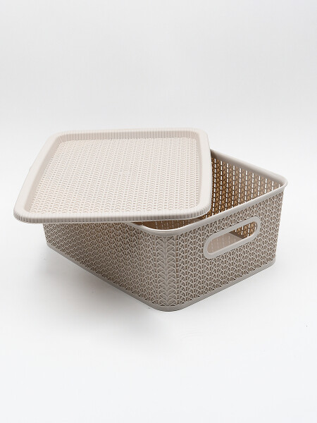 CAJA PLASTICACON TAPA BEIGE