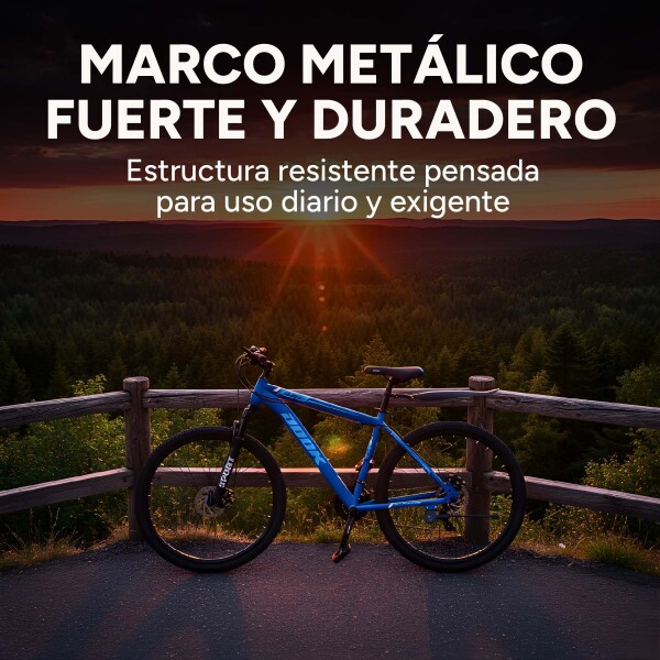 Bicicleta Jook Montaña Rod 29 Freno Disco 21 Velocid Shimano Color Azul