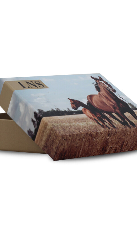 BILLETERA ODIN C/ BORDADO TABACO C/ ACEITUNA