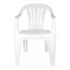 Silla Resina Con Posa Brazos(sin Garantia) Silla Resina Con Posa Brazos(sin Garantia)