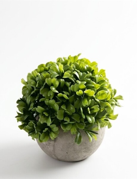 ARBUSTO BOJ ARTIFICIAL 12x5CM ARBUSTO BOJ ARTIFICIAL 12x5CM