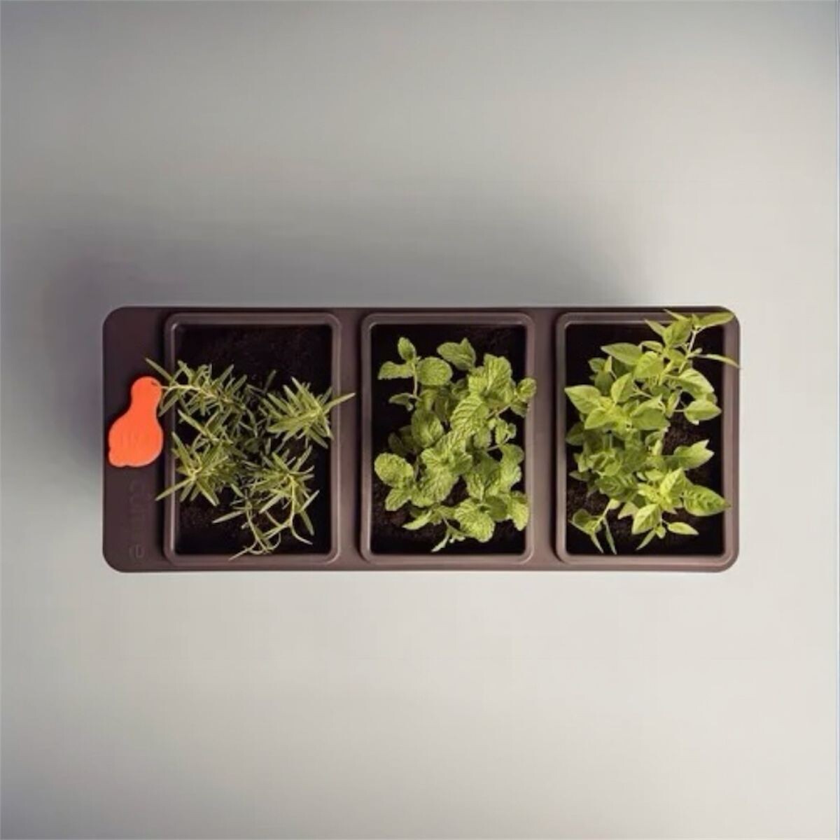 Macetero autorregable 