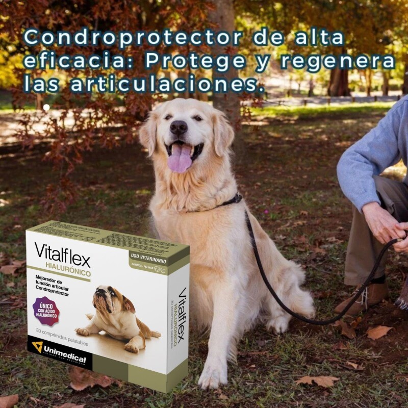 VITALFLEX X BLISTER DE 5 COMPRIMIDOS