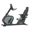 Bicicleta Reclinada Reebok 3900Bh Gris
