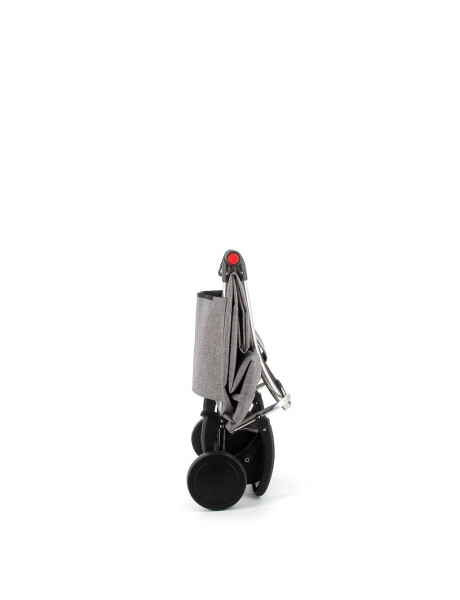 CARRO BIG TWEED 44L ALUM C 2/4 RUEDAS PLEGABLE GRIS CARRO BIG TWEED 44L ALUM C 2/4 RUEDAS PLEGABLE GRIS