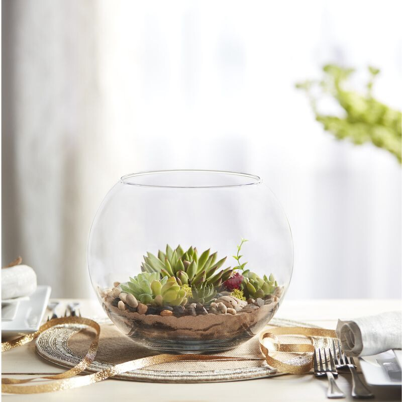 Pecera de Vidrio Pecera de Vidrio 9 cm