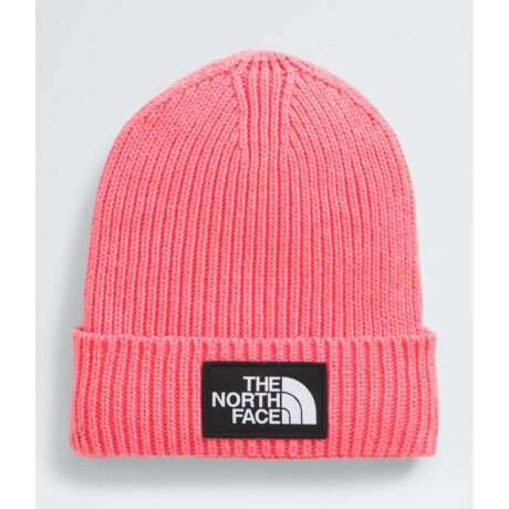 Gorro Kids Tnf Logo Box Cuffed Beanie Coral Crush