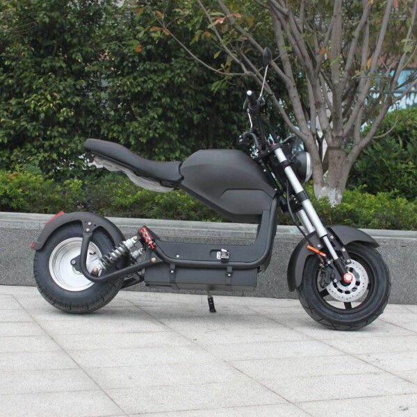 Moto Electrica Gogreen Shadow 2000W 20Ah 55 Km/h Alarma Led Variante Color Negro