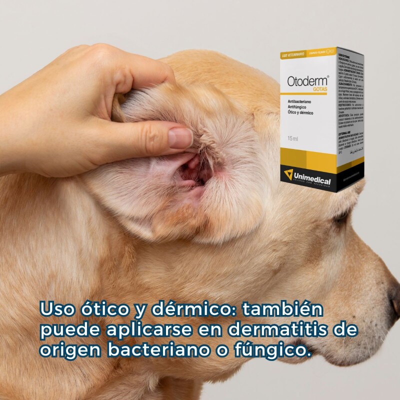 OTODERM GOTAS FRASCO 15 ML OTODERM GOTAS FRASCO 15 ML