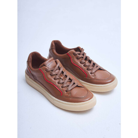 Champion Jexar Camel