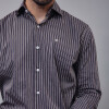 Camisa Luxury gris con rayas negras