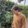 Wool Sweater Men Camel