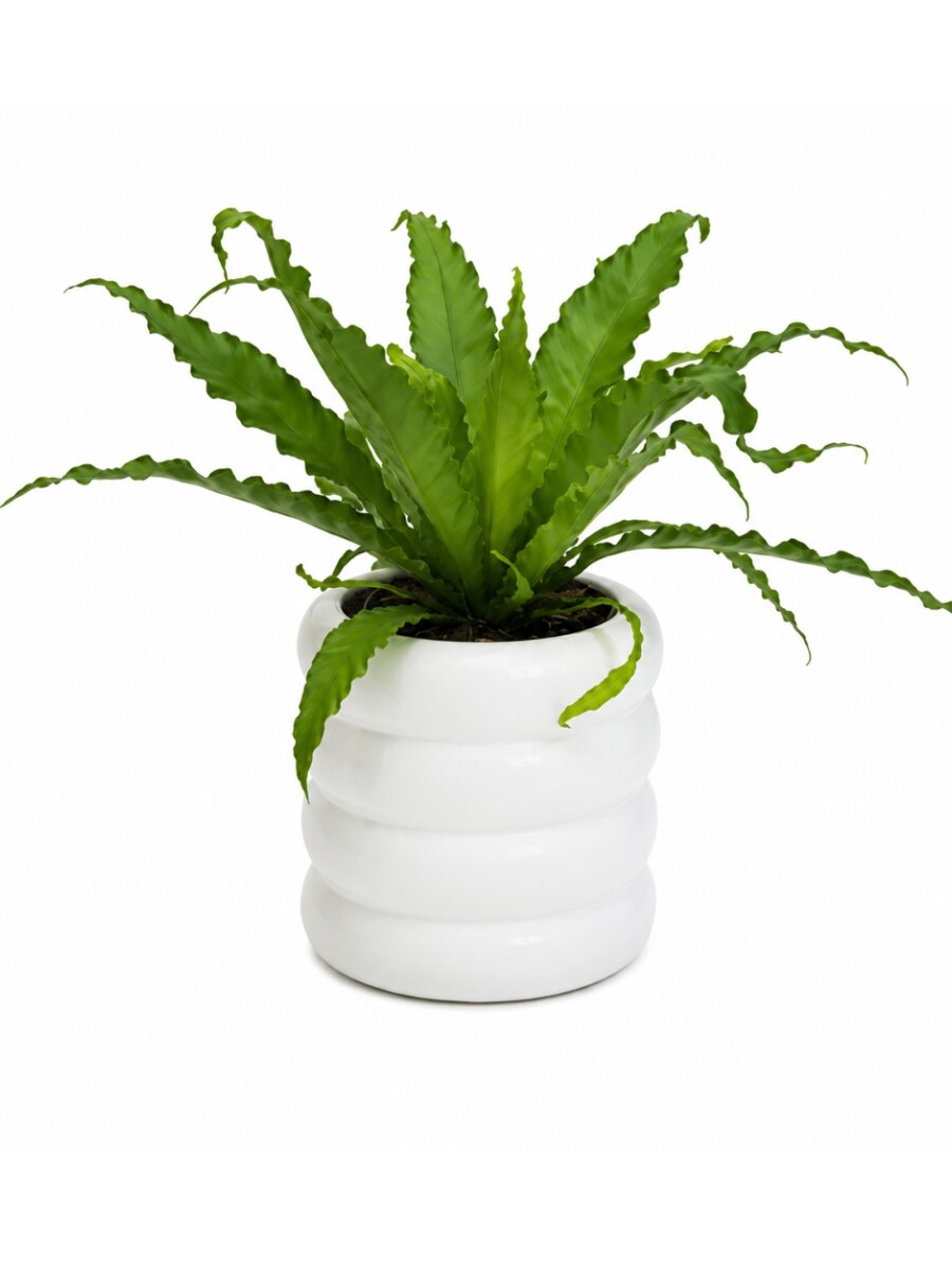 MACETA CERAMICA NUBE MACETA CERAMICA NUBE