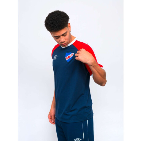 Remera Fitz de Hombre Multicolor