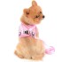 Correa Arnes Mascota Reflectivos Talle XS Pechero Gato Perro Color Variante Rosa