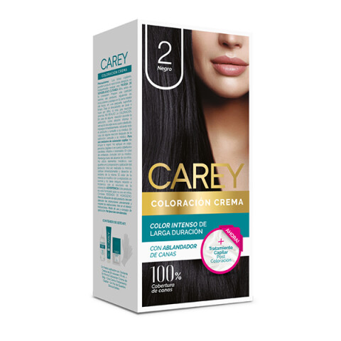 Tintas Carey Negro