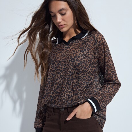 PANTALON FRANCIS Chocolate