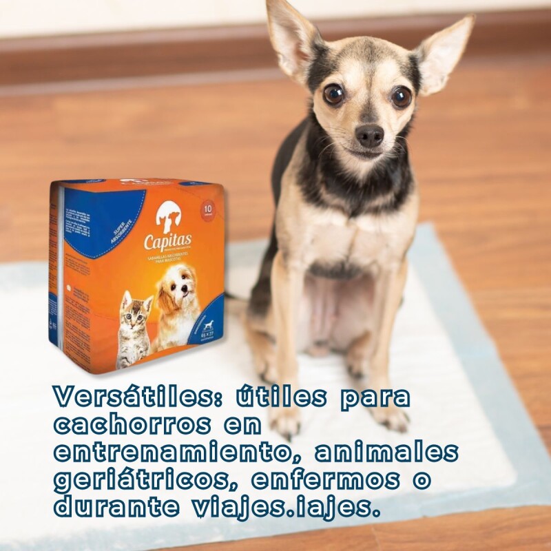 PAÑALES SABANITAS DE ENTRENAMIENTO DE MASCOTAS CAPITAS 10 UNIDADES PAÑALES SABANITAS DE ENTRENAMIENTO DE MASCOTAS CAPITAS 10 UNIDADES
