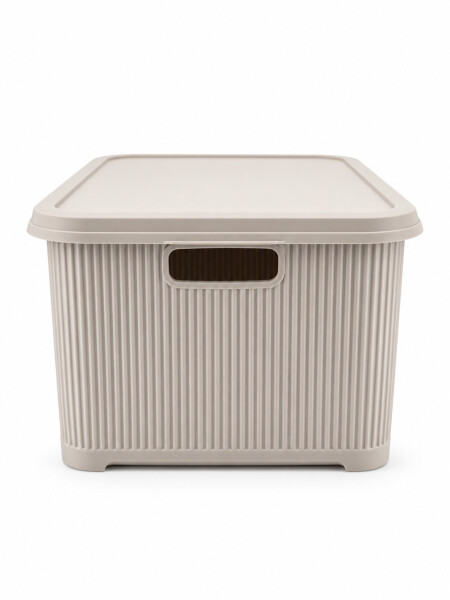 CAJA ORGANIZADORA C/ TAPA BEIGE
