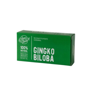 Gingko Biloba Terra Verde 30g Gingko Biloba Terra Verde 30g
