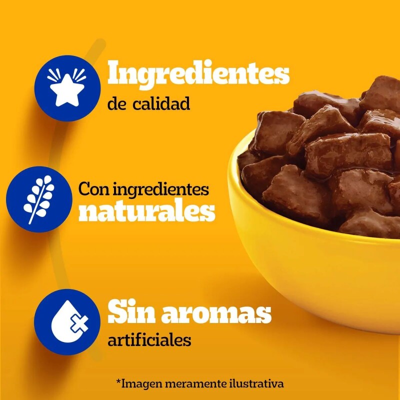 PEDIGREE EN SALSA ADULTO CARNE 100 GRAMOS PEDIGREE EN SALSA ADULTO CARNE 100 GRAMOS