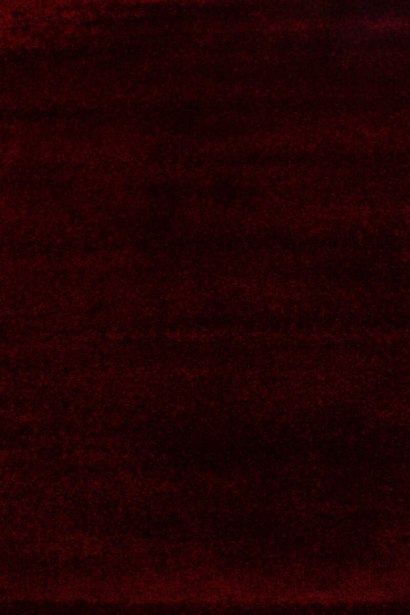 SUPER SOFTNESS ALFOMBRAS SUPER SOFTNESS SSF/2144/F670/ 200X290 CLARET