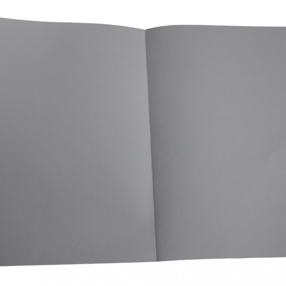 DOCENA DE CARPETAS DE CARTULINA PARA ESCRIBANIA COLOR BLANCO