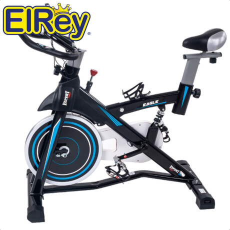 Bicicleta Spinning Expert Fitness Eagle 13Kg Profesional Amortiguador Gym002010